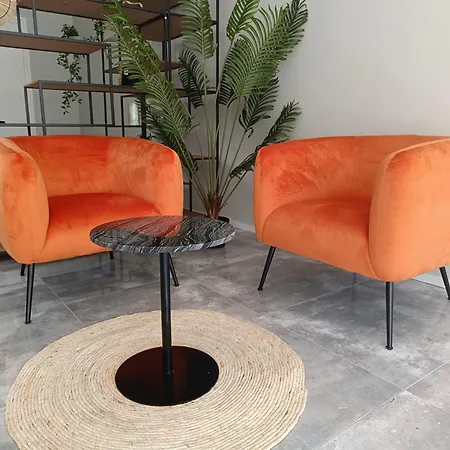 Fast Wifi, Kitchen Access Suite Maison Lux Apartment Raamsdonksveer