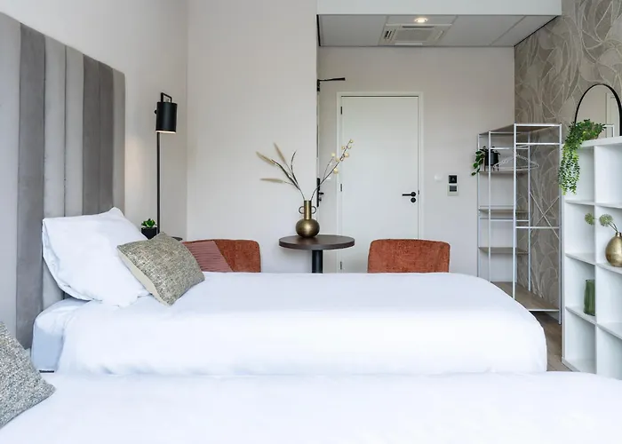 Fast Wifi, Kitchen Access Suite Maison Lux *